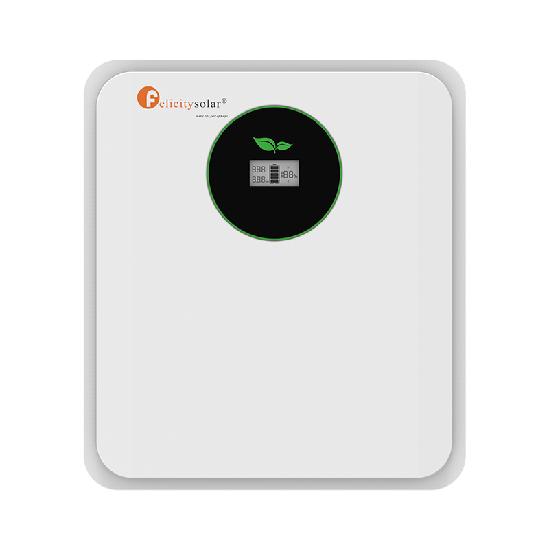 Felicity Solar FLA24100 2.56kWh LiFePO₄ Lithium Battery – 25.6V 100Ah