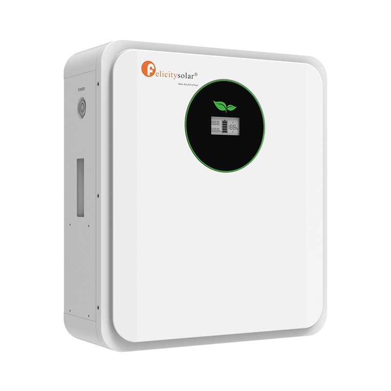 Felicity Solar FLA24100 2.56kWh LiFePO₄ Lithium Battery – 25.6V 100Ah
