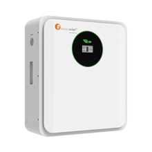 Felicity Solar FLA24100 2.56kWh LiFePO₄ Lithium Battery – 25.6V 100Ah